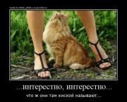 Прикрепленное изображение: s3img_112666897_701_1.jpg