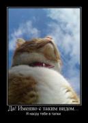 Прикрепленное изображение: s3img_100697261_2012_1.jpg