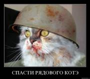 Прикрепленное изображение: 138620801.jpg