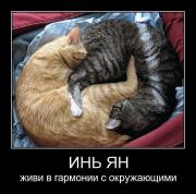 Прикрепленное изображение: 148548818.jpg