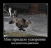 Прикрепленное изображение: 318036856.jpg