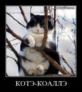 Прикрепленное изображение: 344885281.jpg