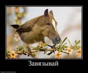 Прикрепленное изображение: x_8a94c8f0.jpg