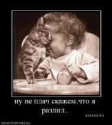 Прикрепленное изображение: 15430.jpeg