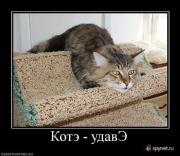 Прикрепленное изображение: 86fa0c.jpg