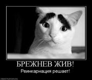 Прикрепленное изображение: 367601_brezhnev_zhiv.jpg