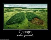Прикрепленное изображение: 432166_donora_thumbnail.jpg