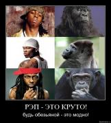 Прикрепленное изображение: sntu4jkpuoeq.jpg