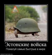 Прикрепленное изображение: 665949_estonskie_vojska.jpg