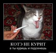 Прикрепленное изображение: 5fo4s4zyba8k.jpg