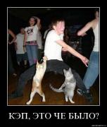 Прикрепленное изображение: __.jpg