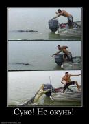 Прикрепленное изображение: 55473_suko_ne_okun.jpg
