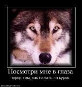 Прикрепленное изображение: 461388_posmotri_mne_v_glaza.jpg