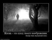 Прикрепленное изображение: 847734_zhizn_eto_plod_tvoego_voobrazheniya.jpg