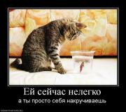 Прикрепленное изображение: 3.jpg