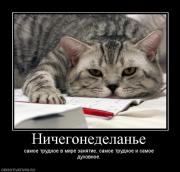 Прикрепленное изображение: 22.jpg