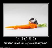 Прикрепленное изображение: 110088_o_l_o_l_o.jpg