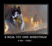 Прикрепленное изображение: ____91_.jpg