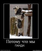 Прикрепленное изображение: 45.jpg