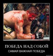 Прикрепленное изображение: ypn6nspn4slp.jpg