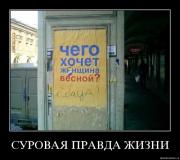 Прикрепленное изображение: 2479.jpg