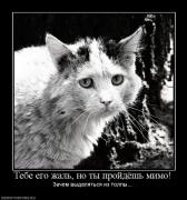 Прикрепленное изображение: 550184_tebe_ego_zhal_no_tyi_projdyosh_mimo.jpg