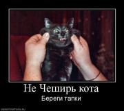 Прикрепленное изображение: 488060_ne_cheshir_kota.jpg
