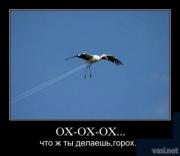 Прикрепленное изображение: 12.jpg