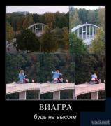 Прикрепленное изображение: 11.jpg