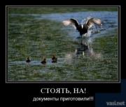 Прикрепленное изображение: 10.jpg