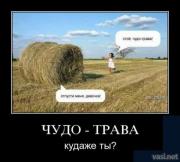 Прикрепленное изображение: 9.jpg