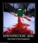 Прикрепленное изображение: 941121_kriticheskie_dni.jpg
