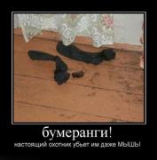 Прикрепленное изображение: 1256029250_1255953e.jpg