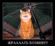 Прикрепленное изображение: 1255044190_50.jpg