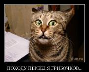 Прикрепленное изображение: 1255044150_22.jpg