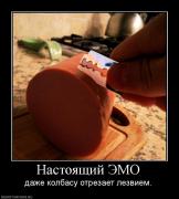 Прикрепленное изображение: 2097_nastoyaschij_emo.jpg