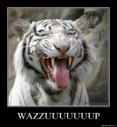 Прикрепленное изображение: 3.jpg