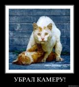 Прикрепленное изображение: ogk76hx1ciow.jpg