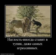 Прикрепленное изображение: x_d203ba05.jpg