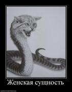 Прикрепленное изображение: 693270_zhenskaya_suschnost.jpg