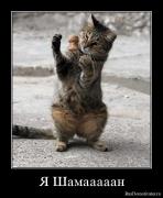 Прикрепленное изображение: 1260643009_3ei9xuhkhyg4.jpg