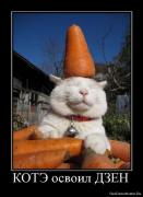 Прикрепленное изображение: 1262519902_demotivator_199.jpg