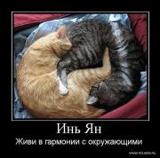 Прикрепленное изображение: y_40.jpg