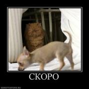 Прикрепленное изображение: 19.jpg