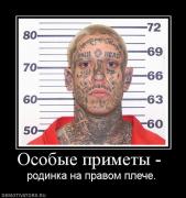 Прикрепленное изображение: 401065_osobyie_primetyi_.jpg