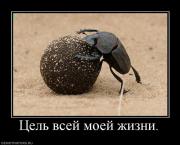 Прикрепленное изображение: 536545_tsel_vsej_moej_zhizni.jpg