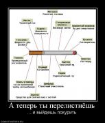 Прикрепленное изображение: 603862_a_teper_tyi_perelistnyosh.jpg