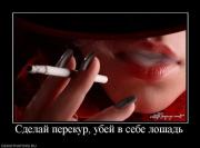 Прикрепленное изображение: 396570_sdelaj_perekur_ubej_v_sebe_loshad.jpg