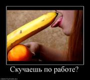 Прикрепленное изображение: 942795_skuchaesh_po_rabote.jpg