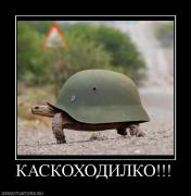Прикрепленное изображение: 349747_kaskohodilko.jpg